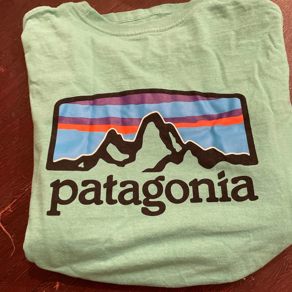 Patagonia unisex T-shirt
